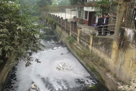 (Ảnh minh họa: Mạnh Minh/TTXVN)