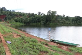 (Ảnh minh họa: Hưng Thịnh/TTXVN)