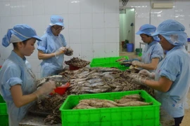 Sản xuất tại Công ty TNHH MTV Đồ hộp Hạ Long-Đà Nẵng. (Ảnh minh họa: Đinh Văn Nhiều/TTXVN)