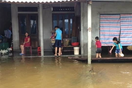 (Ảnh minh họa: Hồ Cầu/TTXVN)