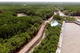 (Ảnh minh họa: An Hiếu/TTXVN)