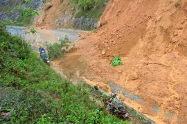 (Ảnh minh họa: Văn Dũng/TTXVN)