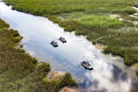 Khu bảo tồn thiên nhiên Vân Long được chính phủ Hà Lan, Quỹ Môi trường Toàn cầu (GEF) và Trung tâm Cứu hộ Linh trưởng quý hiếm Cúc Phương hỗ trợ việc bảo tồn các loài thú quý hiếm. (Ảnh: Minh Đức/TTXVN)