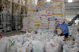 Chế biến gạo xuất khẩu tại Xí nghiệp Chế biến lương thực cao cấp Tân Túc (huyện Bình Chánh, TP.HCM). (Ảnh: Đình Huệ/TTXVN)