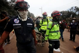 Nhân viên cứu hỏa chuyển thi thể nạn nhân tại khu vực núi lửa Fuego phun trào ở Chimaltenango, Guatemala ngày 3/6. (Nguồn: EPA/TTXVN)