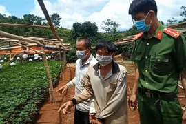 Hai đối tượng trồng cần sa tại xã Nam Bình. (Ảnh:TTXVN phát)