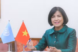 Tiến sỹ Lê Thị Tuyết Mai, Đại sứ-Trưởng Phái đoàn đại diện thường trực Việt Nam bên cạnh Liên hợp quốc, WTO và các tổ chức quốc tế khác tại Geneva. (Ảnh: Tố Uyên/TTXVN)