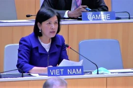 Đại sứ Lê Thị Tuyết Mai. (Ảnh: Tố Uyên/TTXVN)