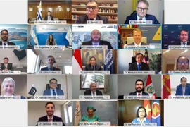 Cuộc họp trực tuyến không chính thức cấp Bộ trưởng các nước xuất khẩu nông sản thuộc Nhóm Cairns tại Geneva. (Ảnh: Tố Uyên/TTXVN)