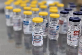 Vaccine Sputnik V phòng COVID-19 của Nga. (Ảnh: THX/TTXVN)