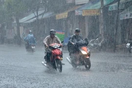 Chiều tối và đêm 5/6, các khu vực trong cả nước có mưa. (Ảnh: TTXVN phát)