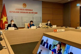 Bà Nguyễn Thúy Anh, Chủ nhiệm Ủy ban về các vấn đề xã hội của Quốc hội, Chủ tịch Phân ban Việt Nam trong APF, Phó Chủ tịch APF, phát biểu tại Hội nghị Ủy ban các vấn đề nghị viện APF theo hình thức trực tuyến. (Ảnh: Việt Đức/TTXVN)