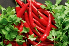 Ảnh minh họa. (Nguồn: Internet)