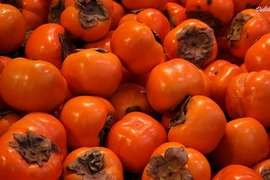 Ảnh minh họa. (Nguồn: Internet)