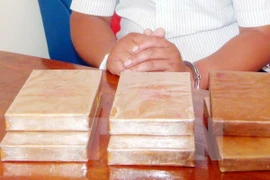 Ảnh minh họa. (Nguồn: TTXVN)