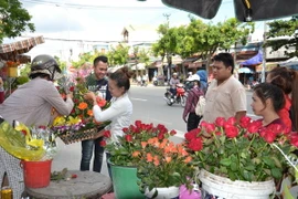 (Ảnh minh họa: Đinh Văn Nhiều/TTXVN)