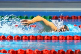 (Ảnh: Huy Hùng/TTXVN)