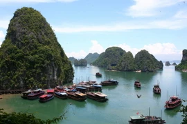 Đến nay, có 240/485 tàu chưa lắp đặt thiết bị phân ly. (Ảnh: Huy Hùng/TTXVN)