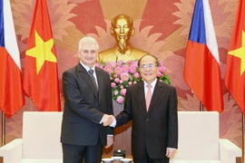 (Ảnh: Nhan Sáng​/TTXVN)