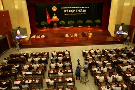 (Ảnh: Hoàng Hải​/TTXVN)