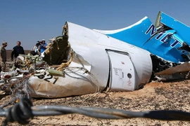 Hiện trường vụ khủng bố máy bay Nga Airbus A321. (Nguồn: sputnik)