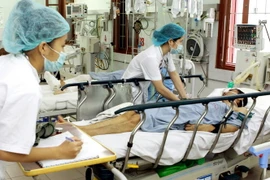 (Ảnh: Dương Ngọc/TTXVN)