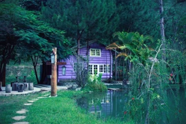 Căn nhà tím trong rừng sâu. (Ảnh: Xuân Mai/Vietnam+)