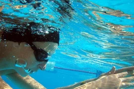 Ảnh minh họa. (Nguồn: Internet)