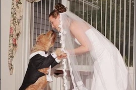 Ảnh mang tính chất minh họa.