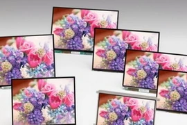 Ảnh minh họa. (Nguồn: Internet)