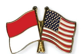 Ảnh minh họa. (Nguồn: crossed-flag-pins.com)