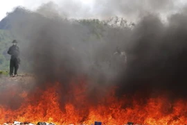 Tiêu hủy ma túy. Ảnh minh họa. (Nguồn: THX/TTXVN)