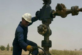 Ảnh minh họa. (Nguồn: AFP/TTXVN) 