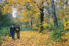 Mùa Thu ở công viên quốc gia Elk Island, Mátxcơva. Ảnh minh họa. (Nguồn: Internet)