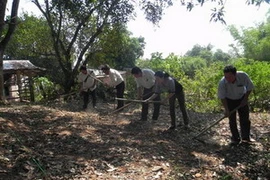 Lễ động thổ khai quật di tích tháp Mẫm lần 2. (Nguồn: baobinhdinh)