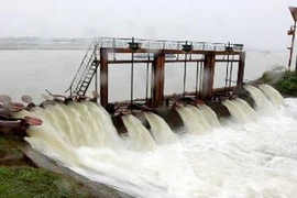 Bơm nước phục vụ sản xuất nông nghiệp. (Ảnh minh họa: Thế Duyệt/TTXVN)