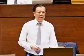 Bộ trưởng Bộ Tài Chính Đinh Tiến Dũng phát biểu giải trình, làm rõ vấn đề đại biểu Quốc hội nêu. (Ảnh: Doãn Tấn/TTXVN)
