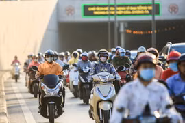Ảnh chỉ có tính minh họa. (Ảnh: Trọng Đạt/TTXVN)