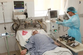 Ảnh chỉ có tính minh họa. (Ảnh: Lâm Khánh/TTXVN)