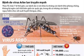 [Infographics] Bệnh do virus Arbo đang lan truyền mạnh