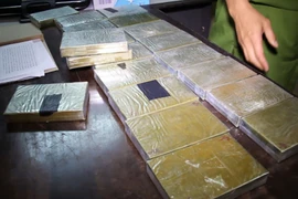 Ảnh chỉ có tính minh họa. (Ảnh: Lê Hữu Quyết/TTXVN)
