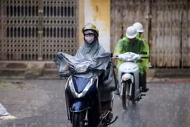 Ảnh chỉ có tính minh họa. (Ảnh: Lê Minh Sơn/Vietnam+)