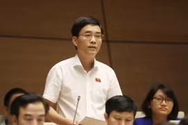 Đại biểu Quốc hội tỉnh Phú Thọ Hoàng Quang Hàm phát biểu ý kiến. (Ảnh: Phương Hoa/TTXVN)