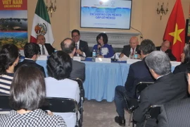 Đại sứ Lê Linh Lan phát biểu tại hội thảo. (Ảnh: Việt Hùng/Vietnam+)