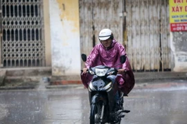 Ảnh chỉ có tính minh họa. (Ảnh: Lê Minh Sơn/Vietnam+)