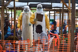 Tổ chức Y tế Thế giới: Gần 3.100 người đã tử vong do dịch Ebola