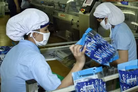 Bình Dương hỗ trợ đưa 29.000 công nhân về quê dịp Tết