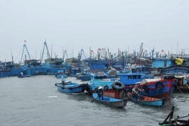 Các tỉnh ven biển khẩn trương di dân ứng phó với bão số 2