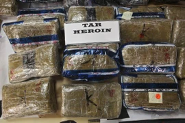 Các nước châu Mỹ phối hợp hành động phòng chống ma túy