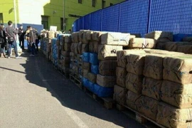 Tây Ban Nha bắt giữ 22 tấn cần sa trên biển Địa Trung Hải